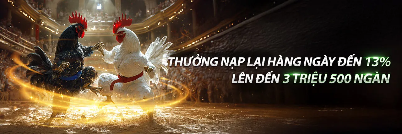 Hỗ trợ đá gà trực tiếp bình luận viên hôm nay